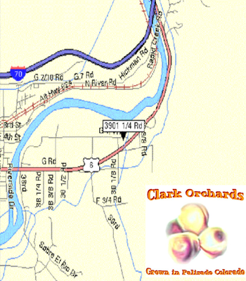 Clark Family Orchards by null