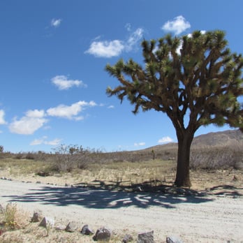 Saddleback Butte State Park - Hiking Near Me - Lancaster, California Saddleback Butte State Park - Hiking Near Me - Lancaster, California