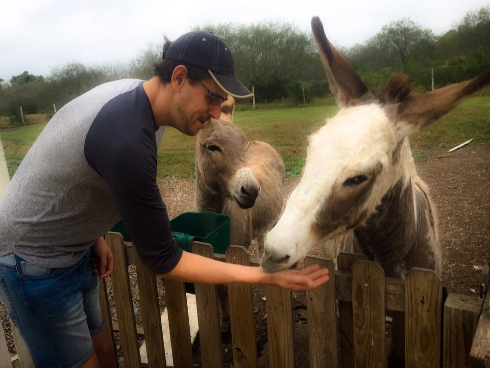 CANINE COUNTRY CLUB KENNEL & PET RESORT Updated May 2024 33306