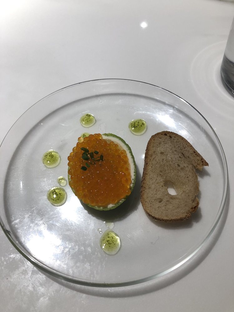 Gatxupa