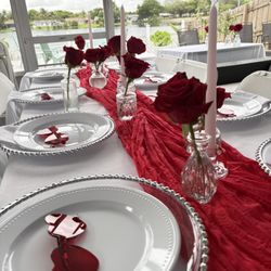 Fairy Godmother Party Rental