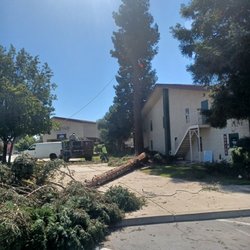 Nolasco Landscaping & Tree Services