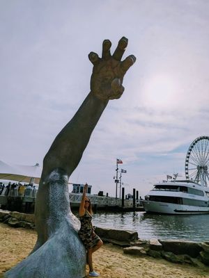 National Harbor by null