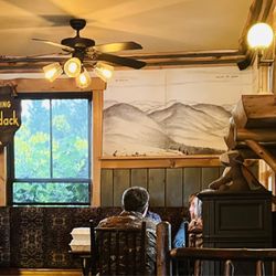 Forty Six - The decor complemented by the most beautiful tall yellow flowers outside the window