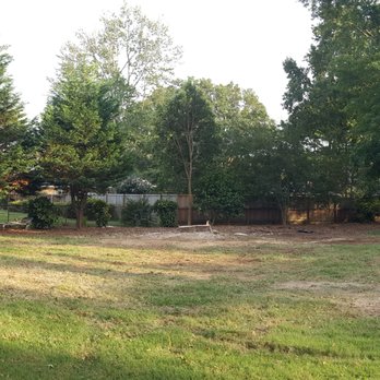 Putman Tree Service - Tree Services Near Me - Virginia Beach, Virginia