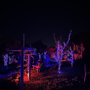 Lightscape San Diego - Botanical Gardens Near Me - Encinitas, California Lightscape San Diego - Botanical Gardens Near Me - Encinitas, California
