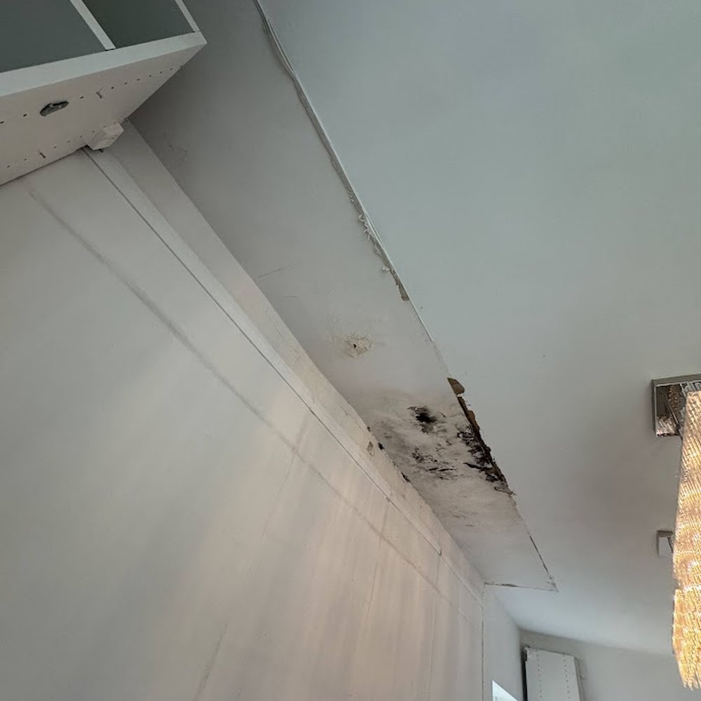 Moldman Chicago - mold - Damage Restoration Near Me - Chicago, Illinois Moldman Chicago - mold - Damage Restoration Near Me - Chicago, Illinois