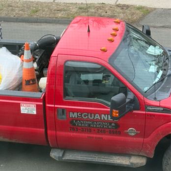 McGuanes Landscaping and Tree Service - Tree Services Near Me - Enfield, Connecticut McGuanes Landscaping and Tree Service - Tree Services Near Me - Enfield, Connecticut