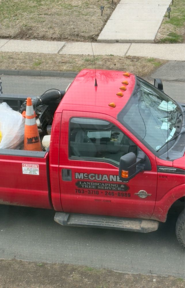McGuanes Landscaping and Tree Service - tree service in Enfield, CT