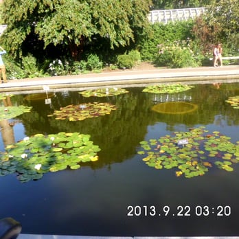 Brooklyn Botanic Garden - My experience @ the garden - Botanical Gardens Near Me - Brooklyn, New York