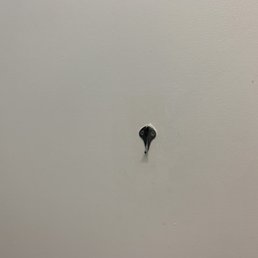 Not useful for hanging my purse... had to hold it or set it on the pee-covered ground.