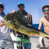 4reel Fishing Charters Offshore Islamorada Florida Keys gift card