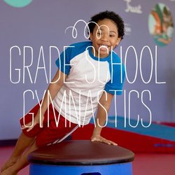 The Little Gym of Madison