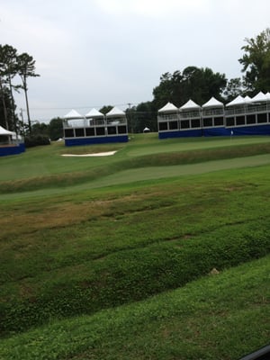 Sedgefield Country Club by null