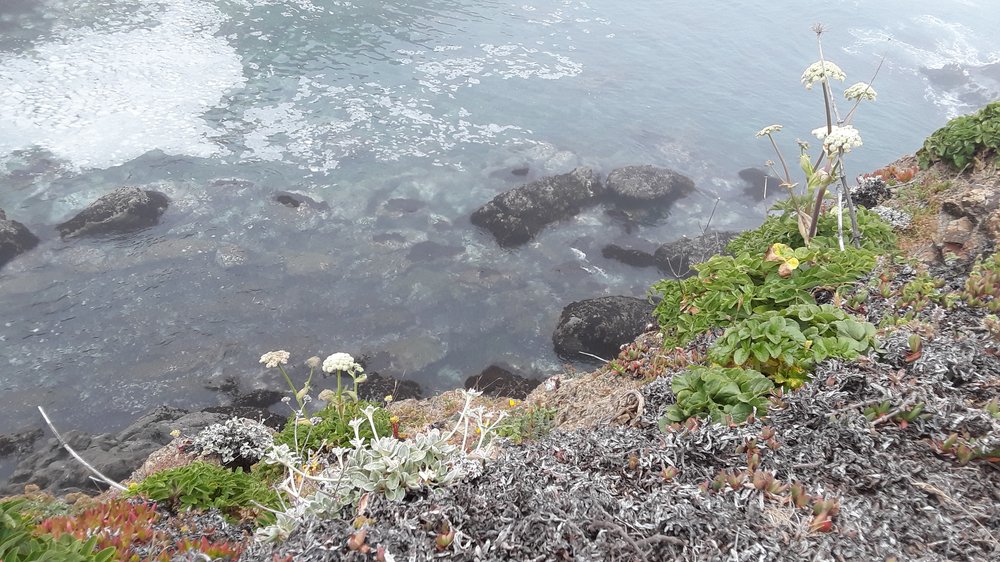 DMV MOTO RENTAL 3665 Flora Vista Ave, Santa Clara, CA Yelp