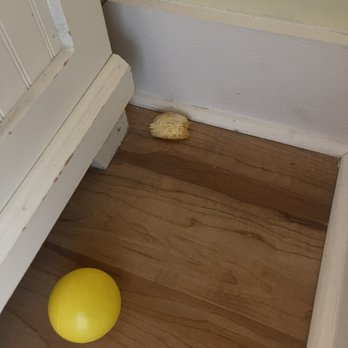 The Summit - Half eaten orange, toy?-- not cleaned upon arrival - Vacation Rentals Near Me - Panama City Beach, Florida The Summit - Half eaten orange, toy?-- not cleaned upon arrival - Vacation Rentals Near Me - Panama City Beach, Florida