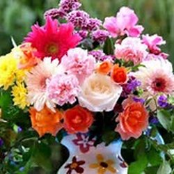 Professional Landscaping Services - We can design for color with plant material and flowers