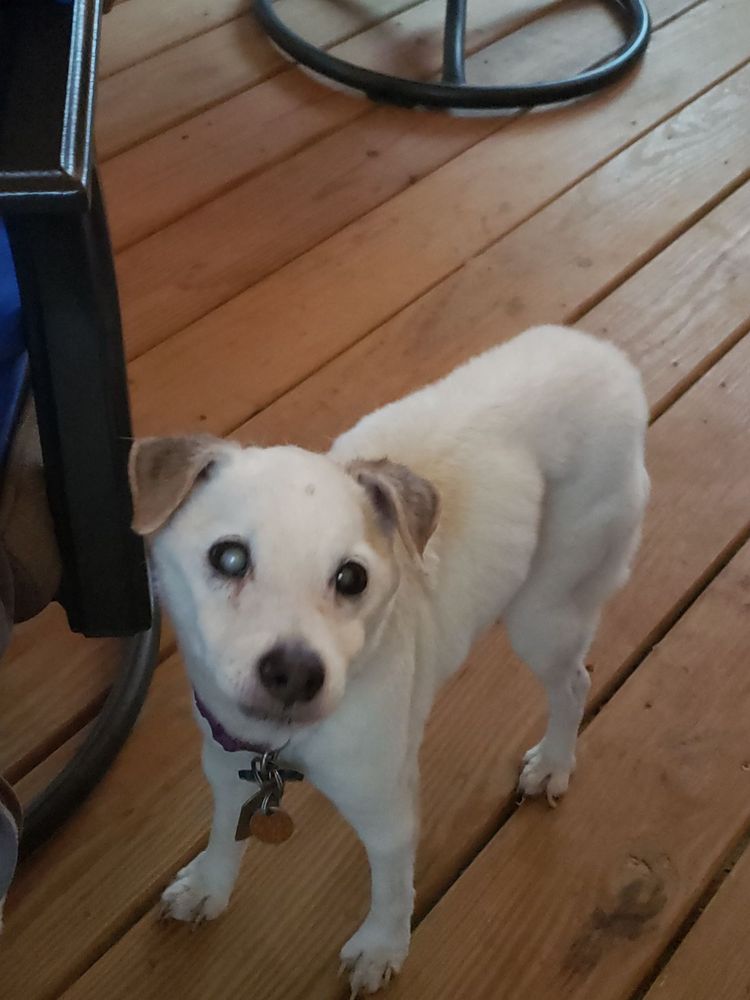 RAINBOW SCISSORS AND SUDS Updated June 2024 33 Photos 790 Old