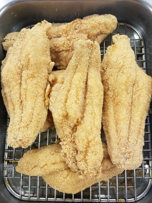 Bailey & Cato by null