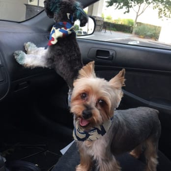 So Fetch - Cute Pups fresh from the salon!!! - Pet Groomers Near Me - Las Vegas, Nevada So Fetch - Cute Pups fresh from the salon!!! - Pet Groomers Near Me - Las Vegas, Nevada