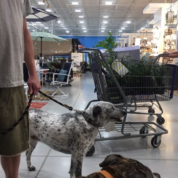 Lowe's Home Improvement - We love this place so clean and they allowed us to walk around on leash. - Hardware Stores Near Me - Tarpon Springs, Florida