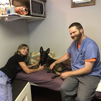 健康+医学 Canine Rehabilitation &amp; Physical Therapy Canine Sports Medicine and Rehabilitation: 9781394251391