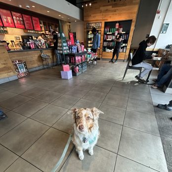 Starbucks - ** Dog friendly inside & outside **  ** on leash ** Betty Mae waiting quietly in line for our order - Coffee & Tea Near Me - Burbank, California