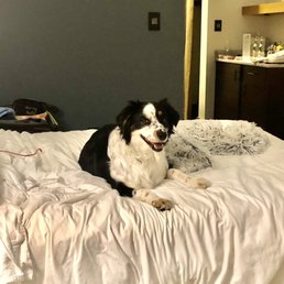 When the pup is happy, you know the parents are too (see their website for prettier photos!!). When the pup is happy, you know the parents are too (see their website for prettier photos!!).