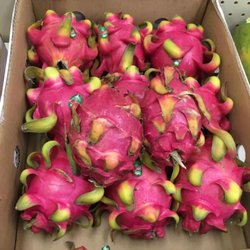 Loyal-Phant Market - Dragon Fruits