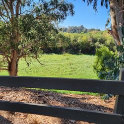 Don Castro Regional Recreation Area