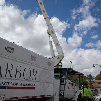 Arbor Tree Service - Tree Services Near Me - LAS VEGAS, Nevada Arbor Tree Service - Tree Services Near Me - LAS VEGAS, Nevada