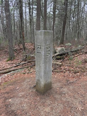 Pachaug State Forest by null