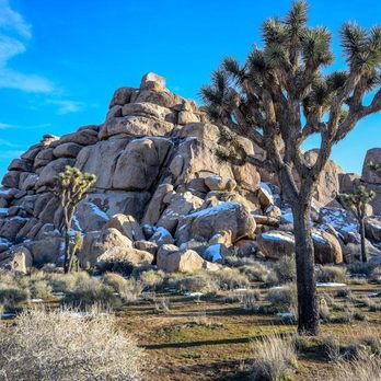 Joshua Tree Workshops - Photography Classes Near Me