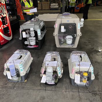Transcontinental Pet Movers - Pet Transportation Near Me Transcontinental Pet Movers - Pet Transportation Near Me