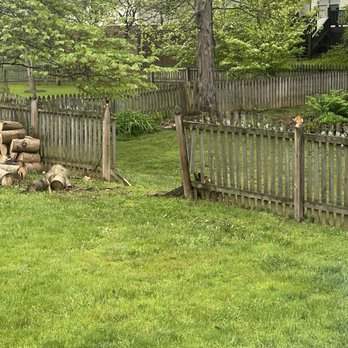 Voluntrees - Tree Services Near Me