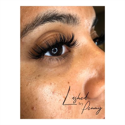 Lashed By Penny