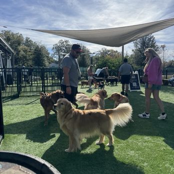 Barkhaven - Dog Parks Near Me - Orlando, Florida