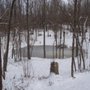 Kevin Simmons Land Surveyor