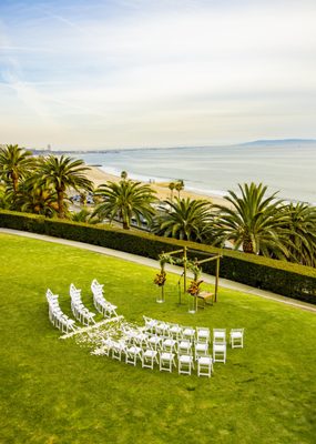 la petite fleur by null