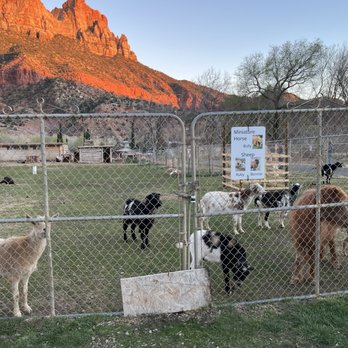 Bumbleberry Inn - Sweet animals that you can pet/feed. What's more to want?! - Hotels Near Me - Springdale, Utah