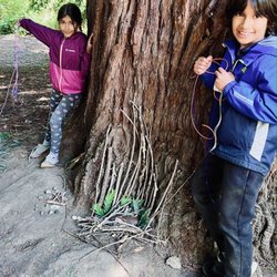 Monkey Business Camp - Nature building