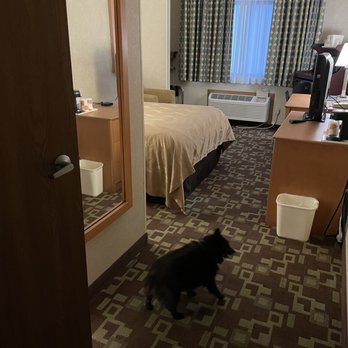 Quality Inn At Collins Road - Cedar Rapids - Pet friendly - and very nice, with a safe, etc. Summer 2021. - Hotels Near Me - Cedar Rapids, Iowa