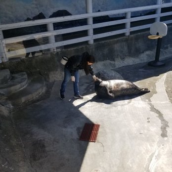 Ocean World - Aquariums Near Me - Crescent City, California