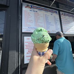 Uncle Louie G Keyport - Mint Chocolate Chip Gourmet Ice Cream Regular