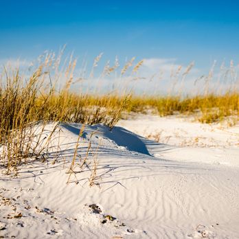 Mexico Beach Welcome Center - Peaceful views in Mexico Beach, FL - Visitor Centers Near Me - Mexico Beach, Florida Mexico Beach Welcome Center - Peaceful views in Mexico Beach, FL - Visitor Centers Near Me - Mexico Beach, Florida