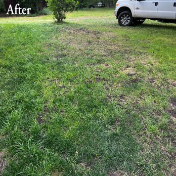 Cibolo Creek Services - 1 week after the lawn dressing was added with watering bald spots filled in with beautiful green grass. - Dumpster Rental Near Me Cibolo Creek Services - 1 week after the lawn dressing was added with watering bald spots filled in with beautiful green grass. - Dumpster Rental Near Me
