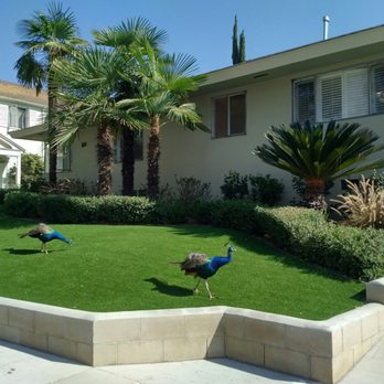 SGV Management - Property Management Near Me - Arcadia, California SGV Management - Property Management Near Me - Arcadia, California