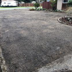 Country Green Turf Farms - Finished Lawn Seeding