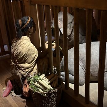 Ark Encounter - Museums Near Me - Williamstown, Kentucky Ark Encounter - Museums Near Me - Williamstown, Kentucky
