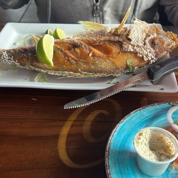 The Fish House - Seafood Near Me - Miami, Florida The Fish House - Seafood Near Me - Miami, Florida